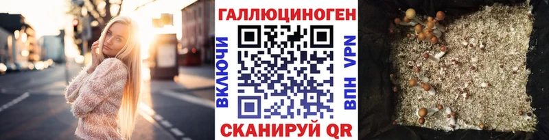 наркошоп  Гаврилов-Ям  гидра ссылка  Псилоцибиновые грибы мухоморы 